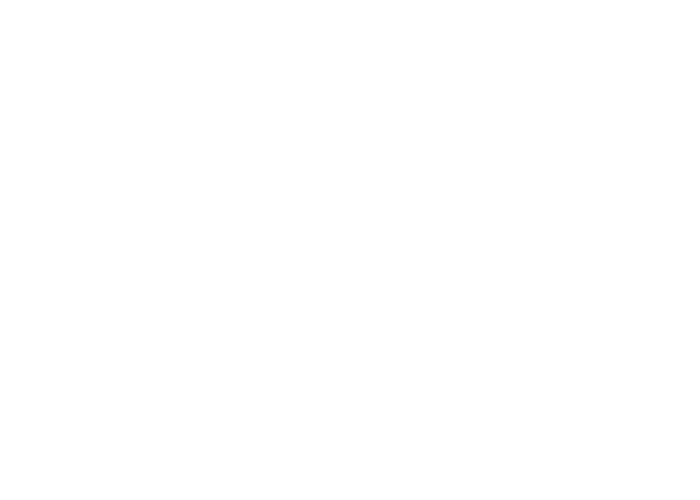 telecamere IP